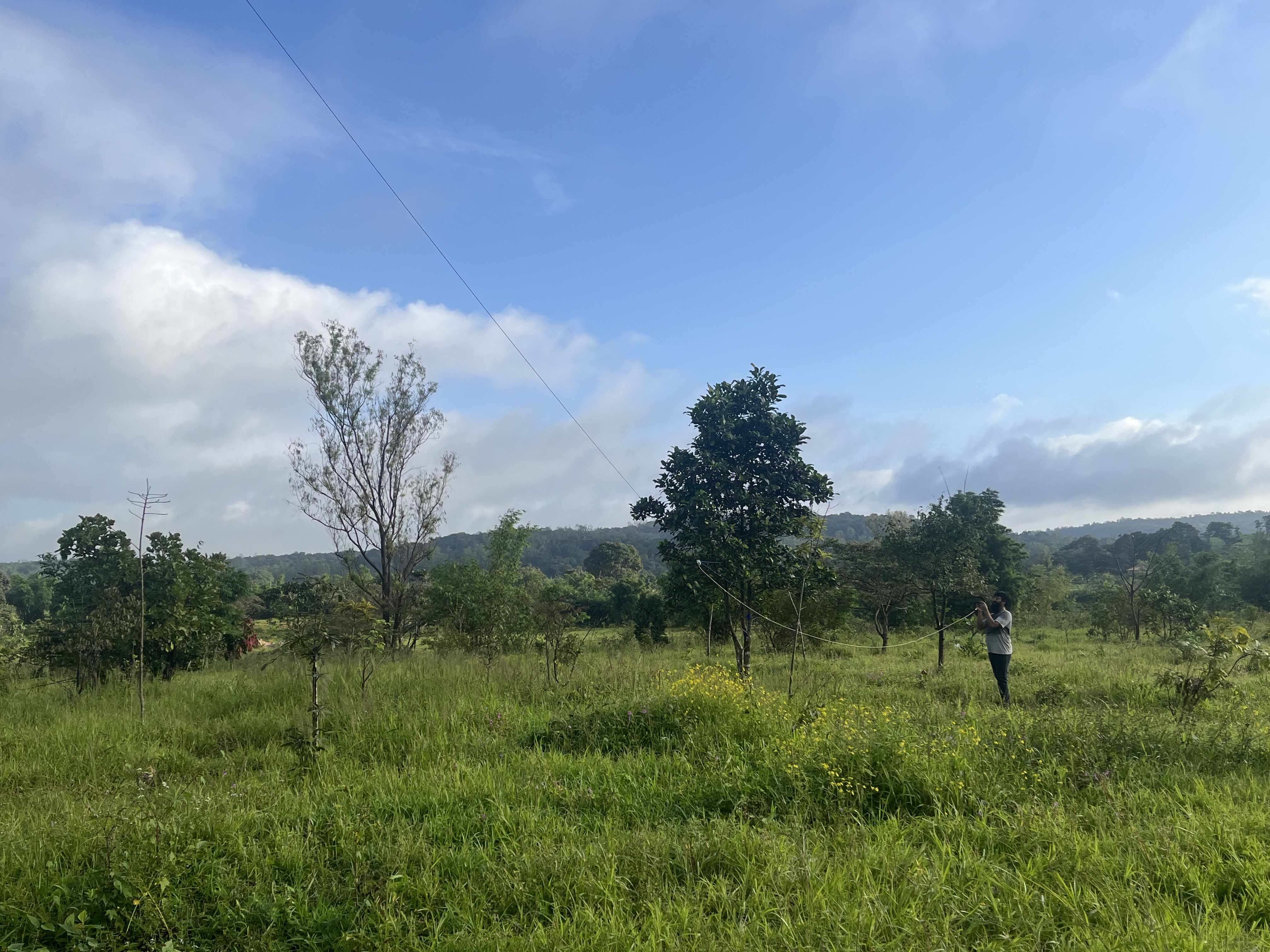 Figure 4: A horrible picture of the EFHW up and about