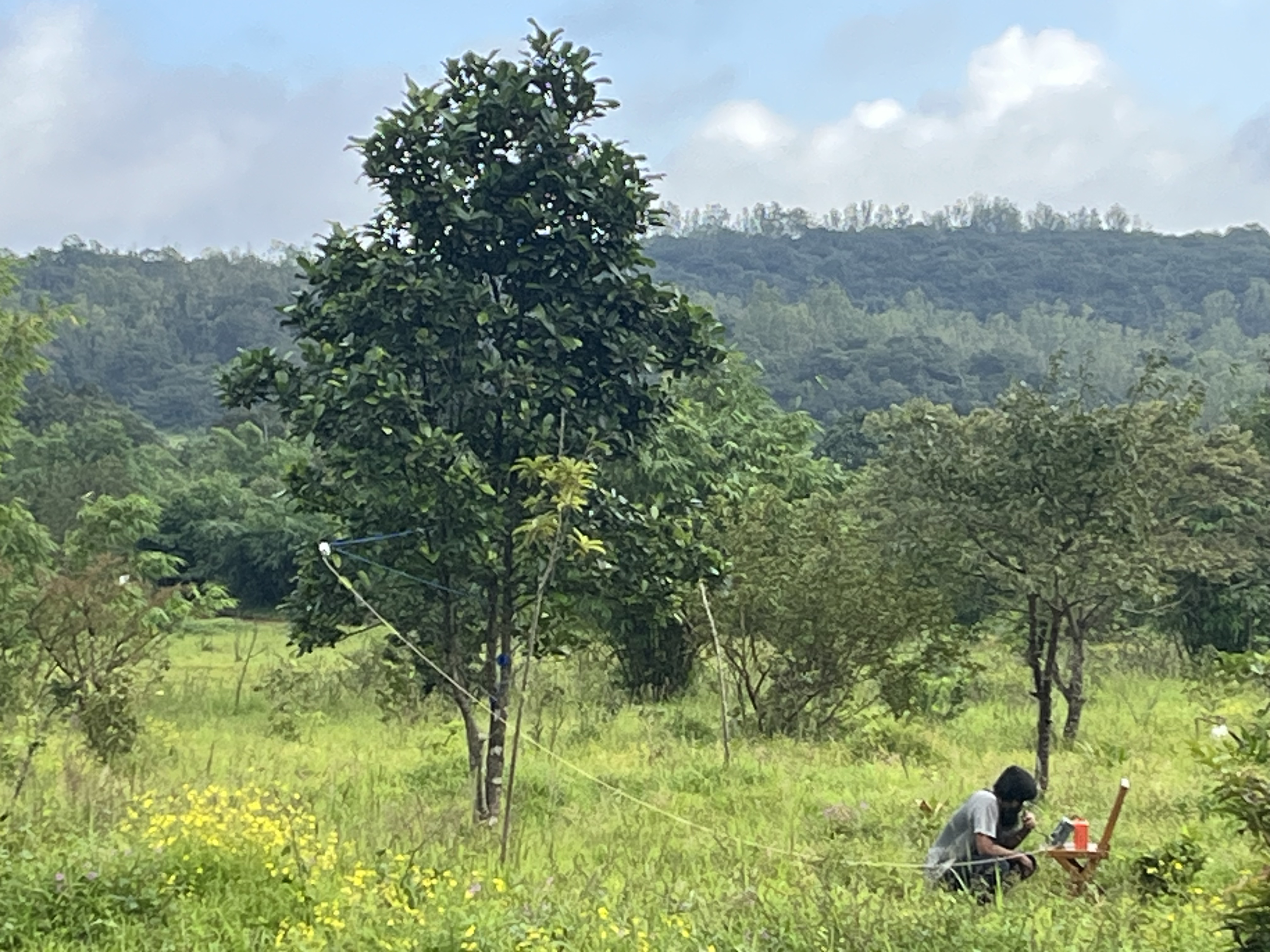 Figure 6: First Rx in the field